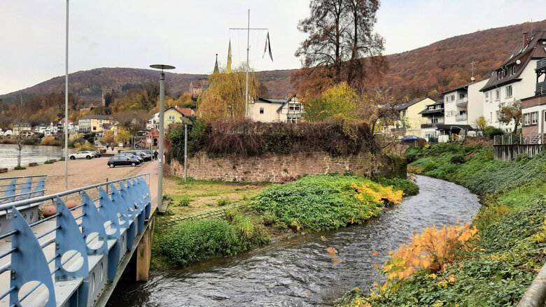 Große Ansicht vom Video