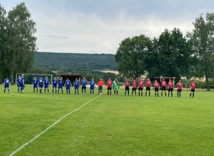 Neuer Sportplatzmäher