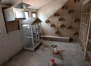 mehr Stadttaubenschläge für Aalen -  Tierschutz & eine saubere Stadt
