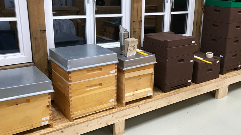 Erweiterung des Lehrbienenstandes