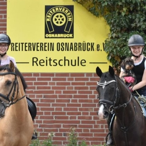 Reithallenboden für gesunde Pferdebeine