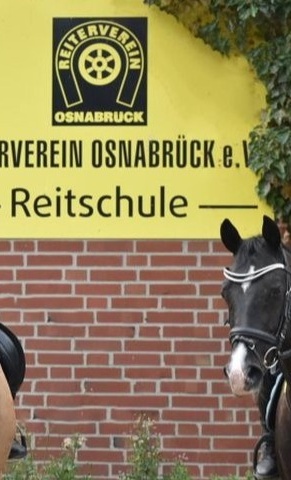 Reithallenboden für gesunde Pferdebeine