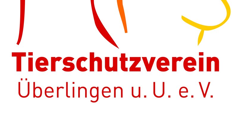 Große Ansicht vom Video