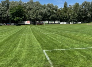 Entlastung fürs Ehrenamt: Unser neuer Platzwart-Kollege