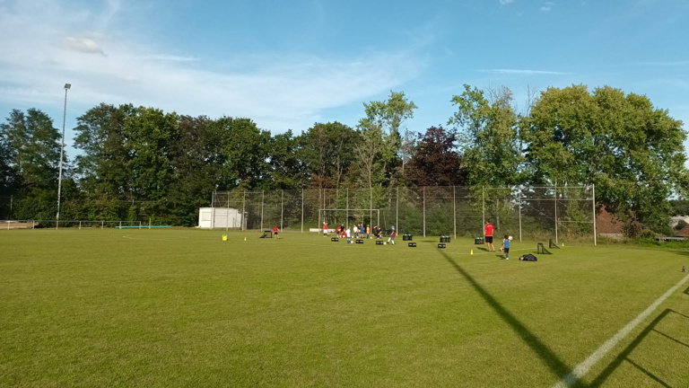 Jugendfußballtore für den Standort SV Steinwenden (SVS 1912)