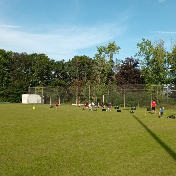 Jugendfußballtore für den Standort SV Steinwenden (SVS 1912)