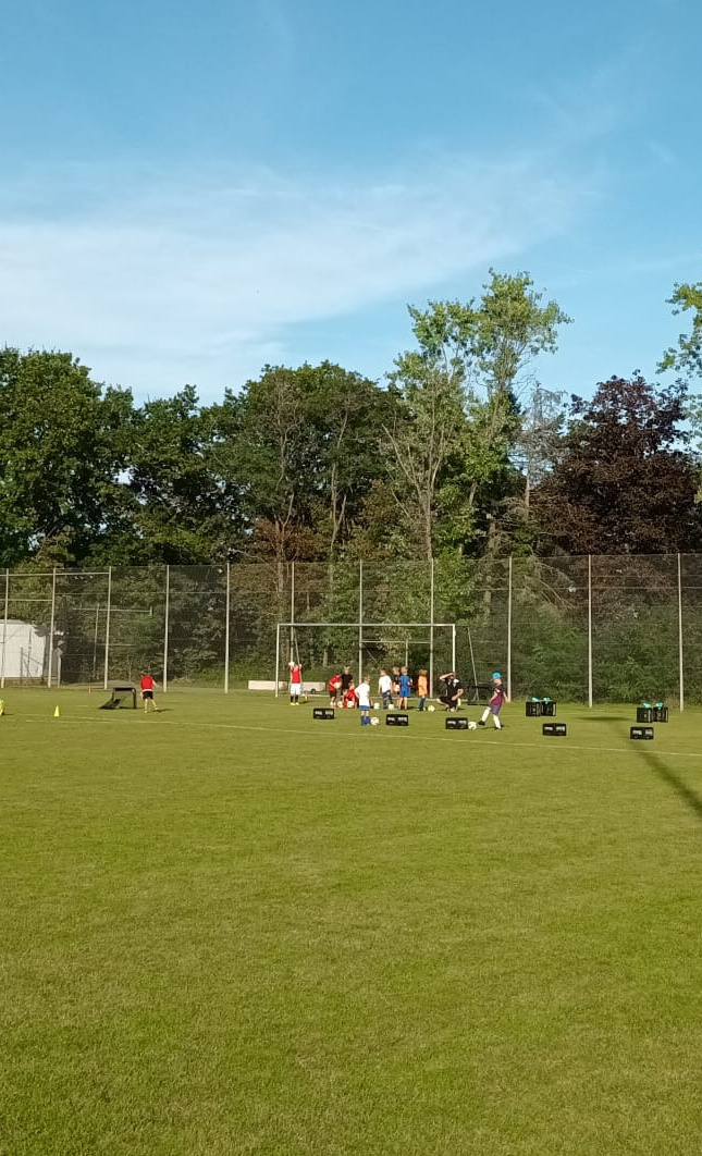 Jugendfußballtore für den Standort SV Steinwenden (SVS 1912)