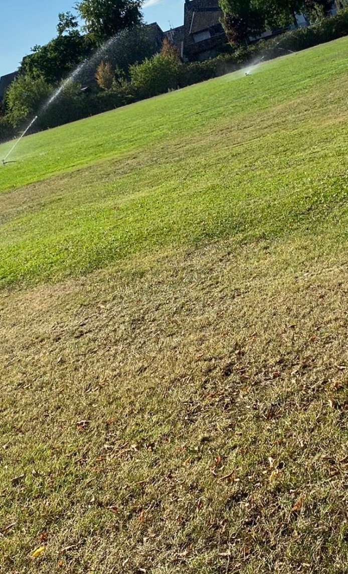 Anschaffung eines Rasentraktors zur Pflege des Platzes