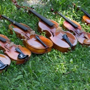 Saiteninstrumentensammlung
