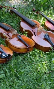 Saiteninstrumentensammlung