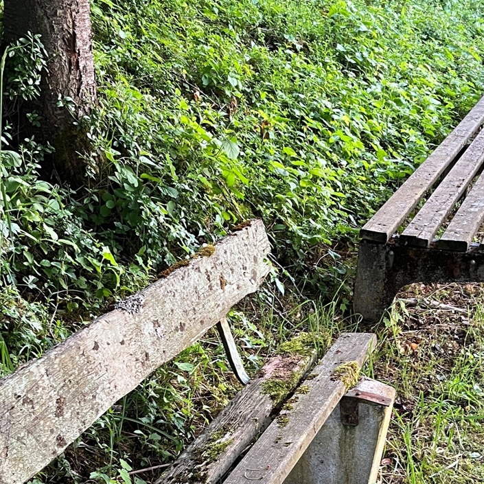 Erneuerung der Außenanlagen am Sportgelände des SV Niederhofen-Ehingen