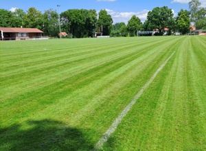 Wir bringen Spieler ins Trockene
