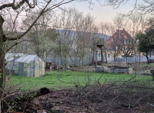Restaurierung des Schulgartens der Gesamtschule Konradsdorf