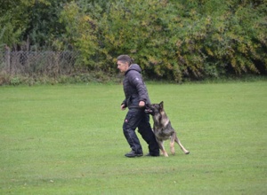 Rasenmährroboter & Rasengeneration Hundesportverein Aalen Fachsenfeld