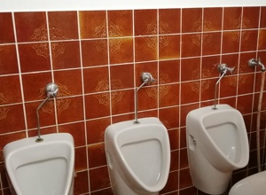 Renovierung der Toiletten im Schützenhaus