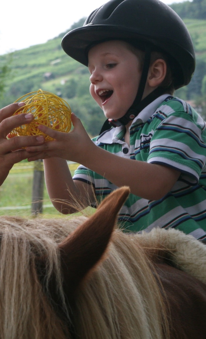 Pferde bewegen Menschen
