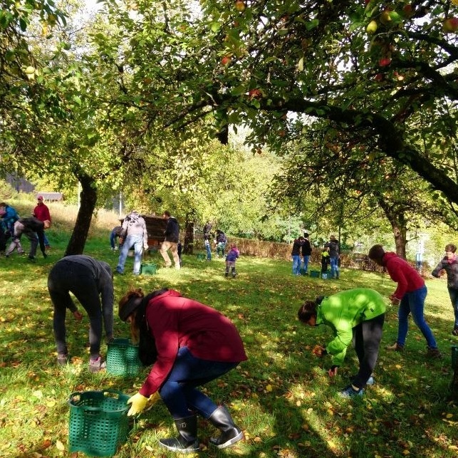 Sitzmöglichkeiten für die Streuobstwiese am GymSL