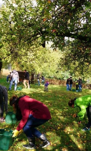 Sitzmöglichkeiten für die Streuobstwiese am GymSL