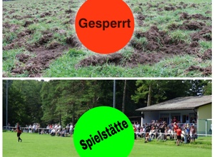 Erneuerung der Sportplätze nach Wildschaden