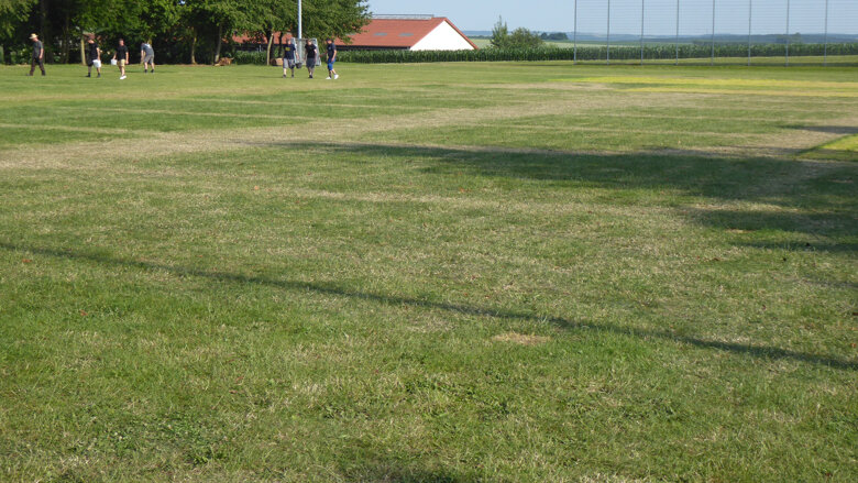Große Ansicht vom Video
