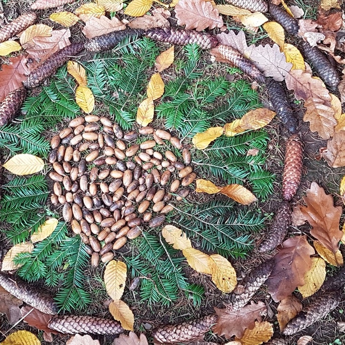 Kleine Beete und große Tonnen