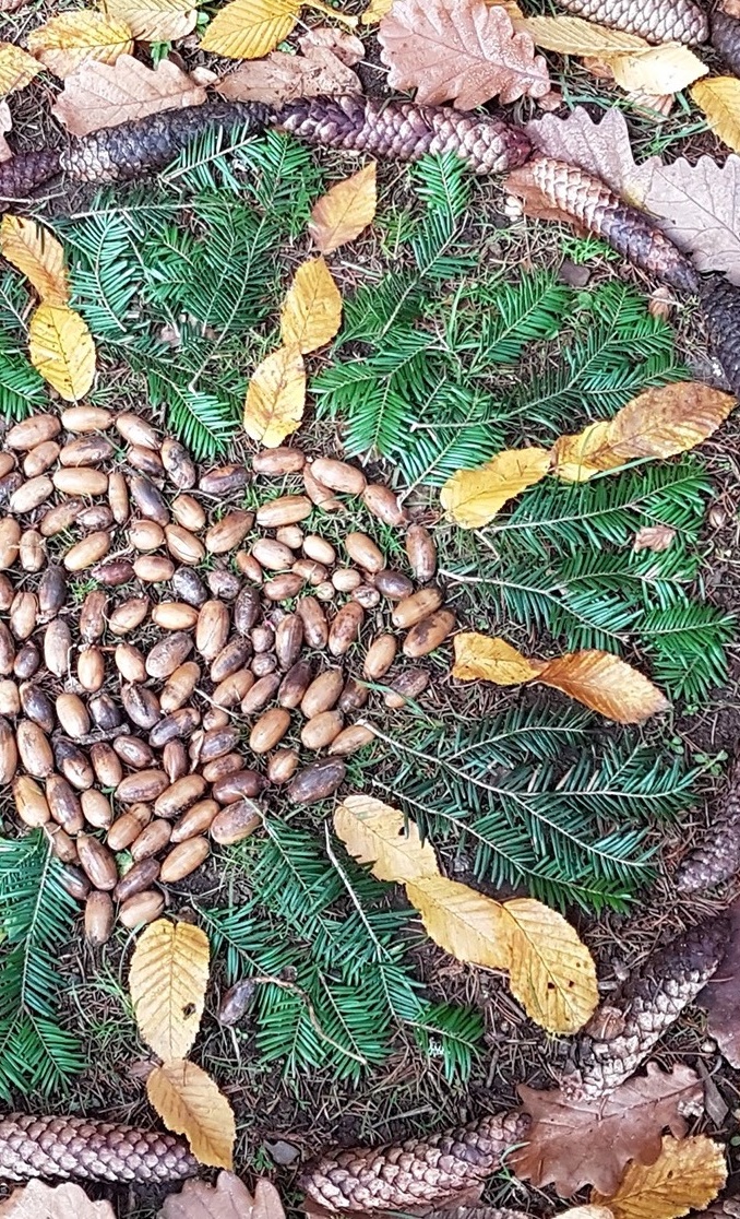 Kleine Beete und große Tonnen