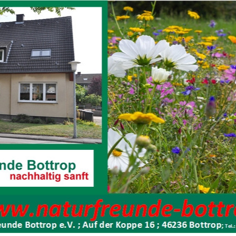 Nachhaltiger Genussgarten für Kinder am NF-Haus