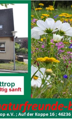 Nachhaltiger Genussgarten für Kinder am NF-Haus