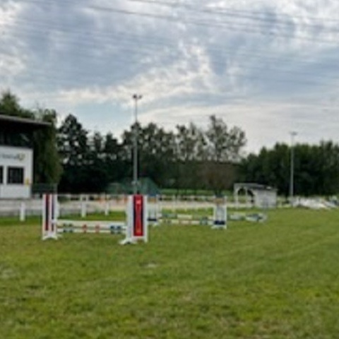 Upgrade Rasenplatz