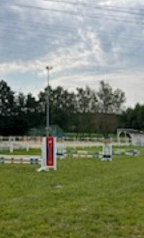 Upgrade Rasenplatz