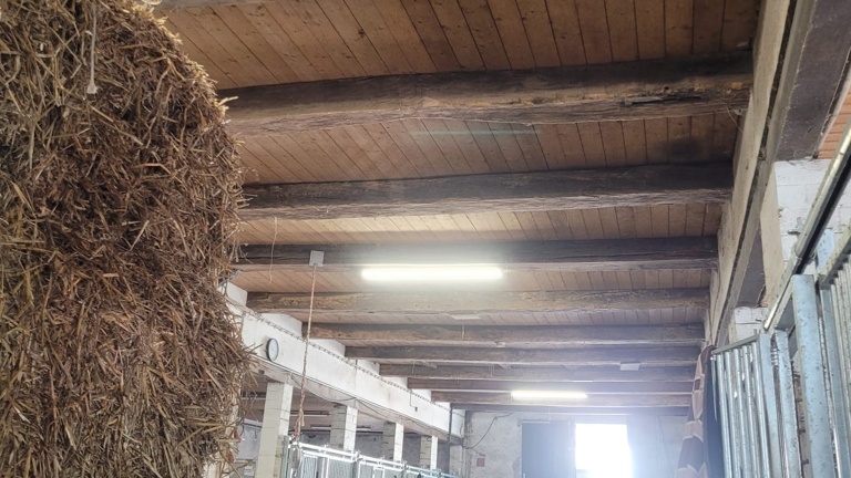 Austausch der Beleuchtung auf unserer Reitanlage