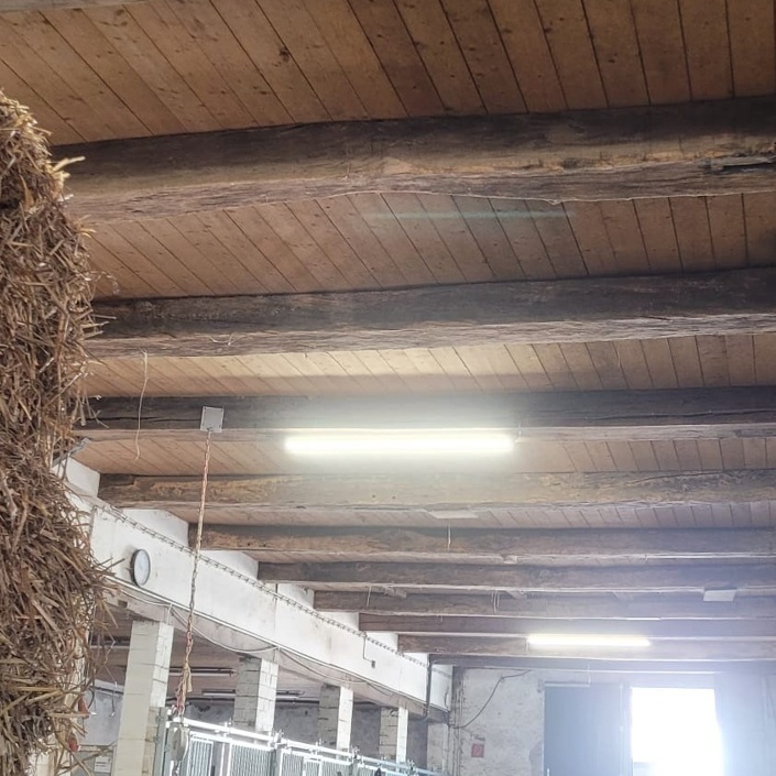 Austausch der Beleuchtung auf unserer Reitanlage