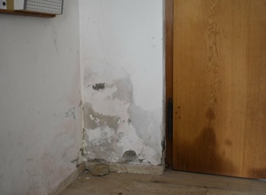 Sanierung des Vorzeichens der Kirche Mariä Himmelf