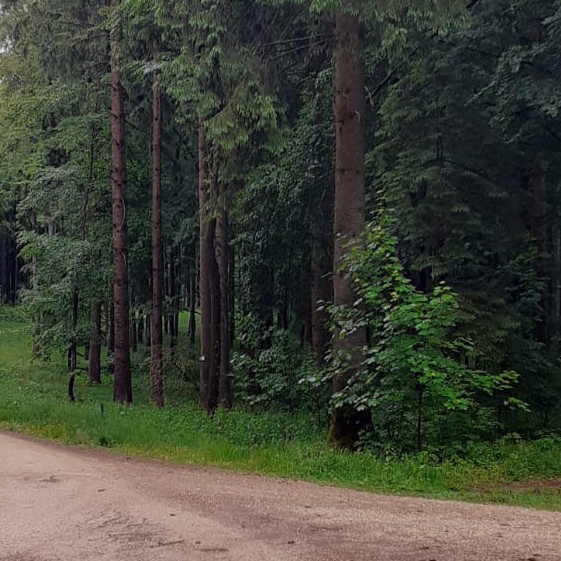 Schutzhütte am Alb-Nordrand-Weg HW 1 (Albsteig)