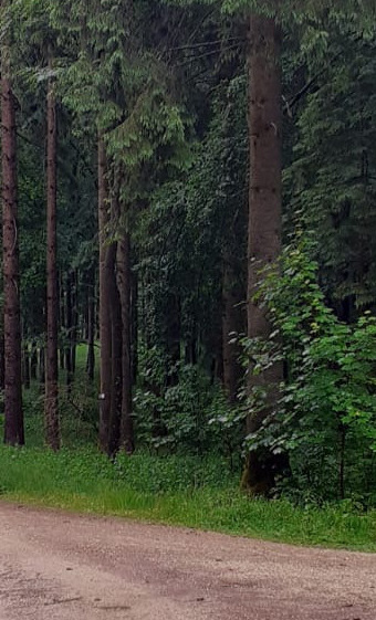 Schutzhütte am Alb-Nordrand-Weg HW 1 (Albsteig)
