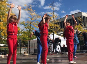 Picknick Dance Konzert