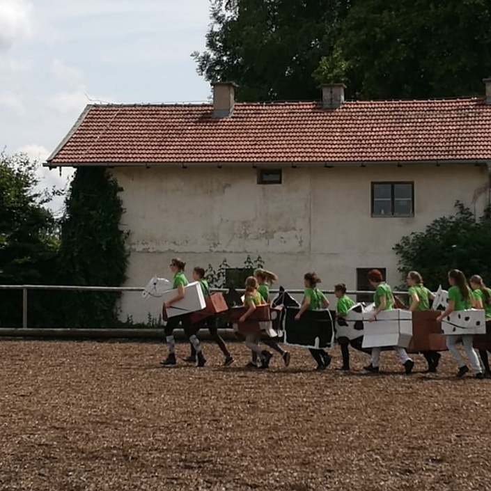 Reitplatzsanierung RG Mooshof e.V.
