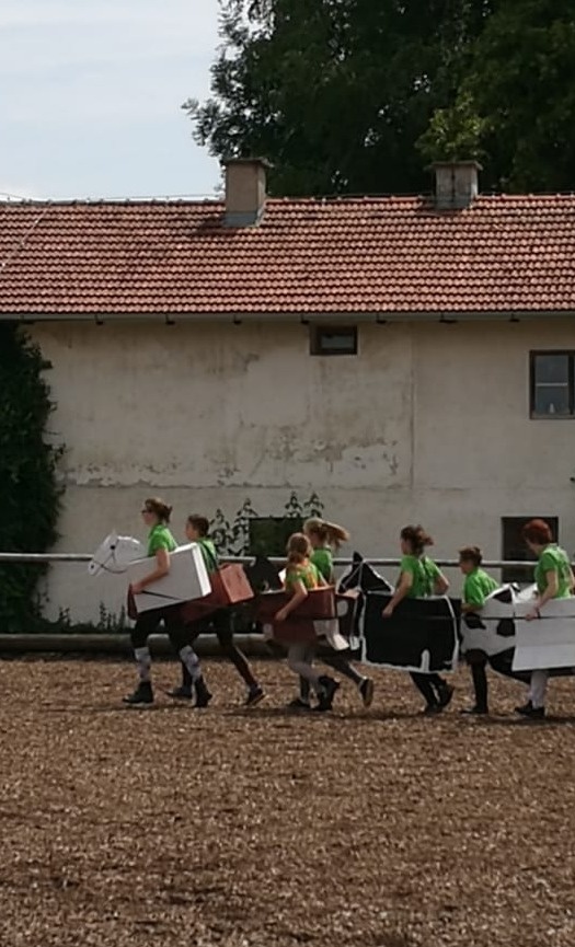 Reitplatzsanierung RG Mooshof e.V.