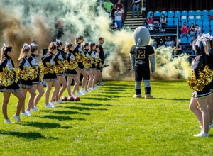 Kostüme für die Paderborn Dolphinets Cheerleader