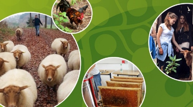 "Fliegende Bauten - Schulen in Arbeit": Anschaffung eines Traktors