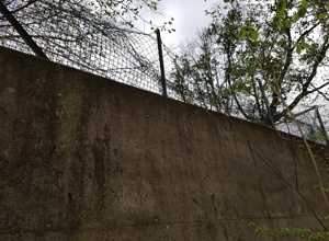 TC BW Soltau - Sanierung Tenniswand
