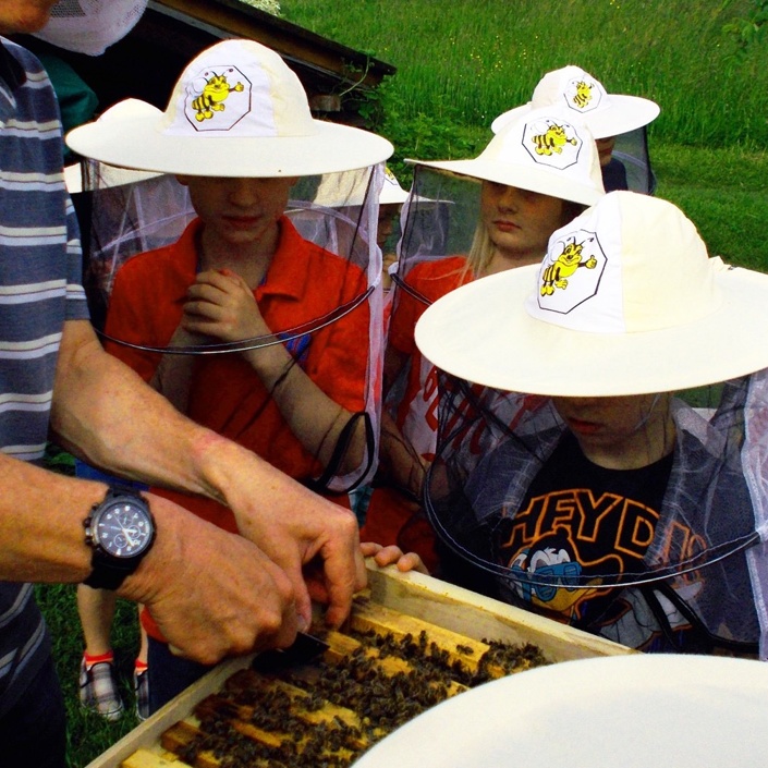 Bienenlehrpfad mit Bienenhaus und Schulgarten