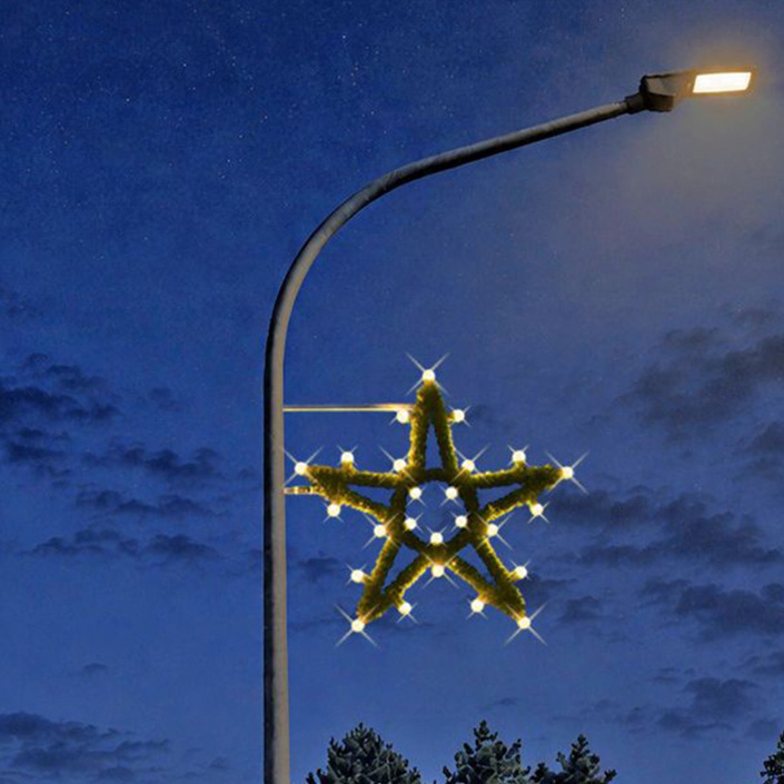Weihnachtssterne für Malchen