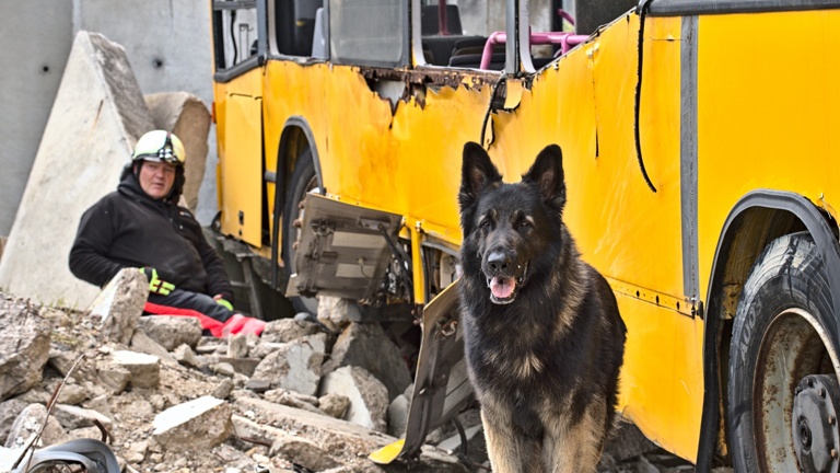 Ausbau unseres Einsatzfahrzeuges der Rettungshundestaffel