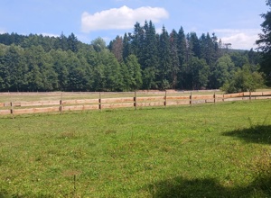Märchenwald anlegen