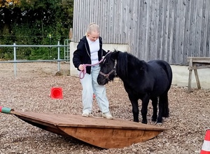 Hof Heiterkeit - Gemeinsam stark mit Pferden