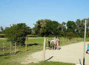 Instandsetzung der Außenanlage des APSV