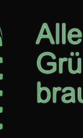 GruenderCast - die Podcast-Reihe für GründerInnen