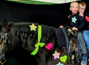 Heilpädagogisches Voltigieren/Reiten