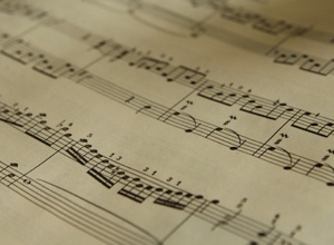 Jubiläumswerk "Wild und ewig"